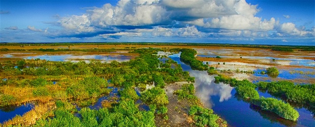 Everglades Floride touriste
